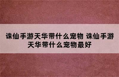 诛仙手游天华带什么宠物 诛仙手游天华带什么宠物最好